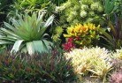 Glencoe WAplanting-garden-and-landscape-design-24.jpg; ?>