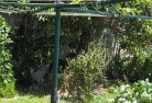 Glencoe WAvegetable-gardens-13.jpg; ?>
