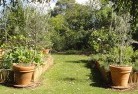 Glencoe WAvegetable-gardens-3.jpg; ?>